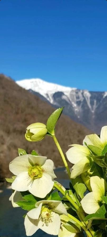Белый Лотос 加格拉 外观 照片